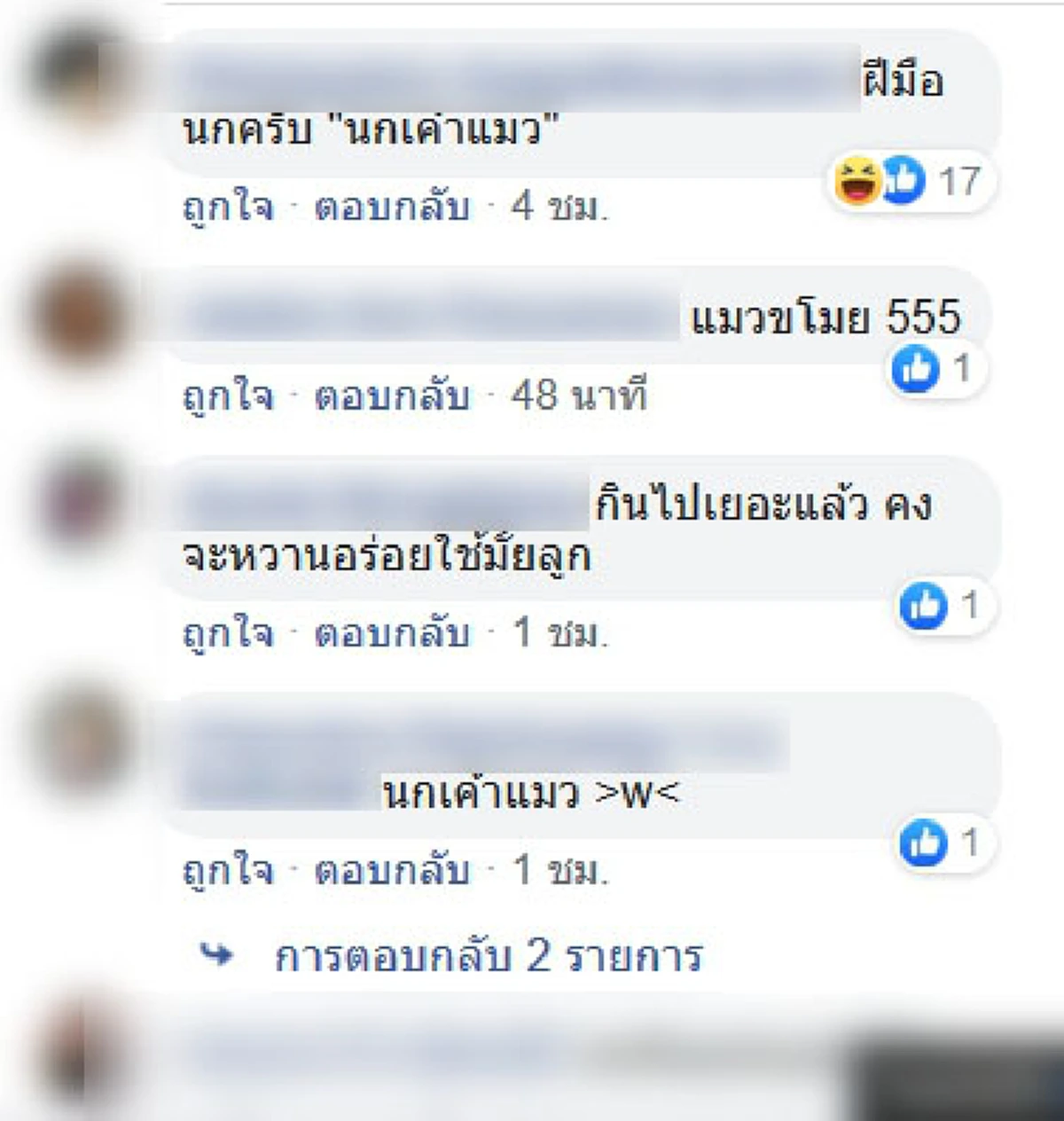 เจ้าของสงสัยมานาน ทำไมมะละกอถึงแหว่ง แท้จริงคือฝีมือแมว