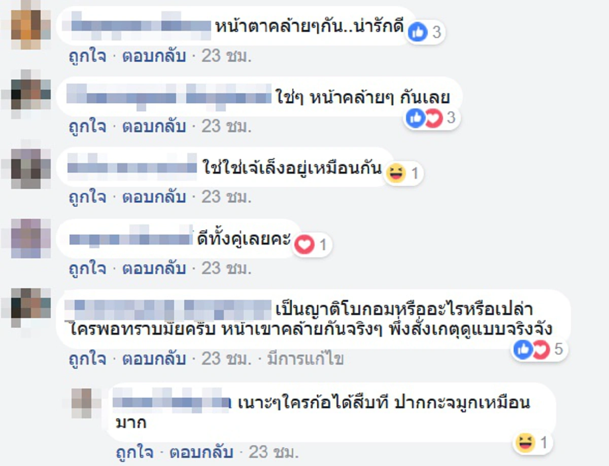 ความเห็นต่างๆ