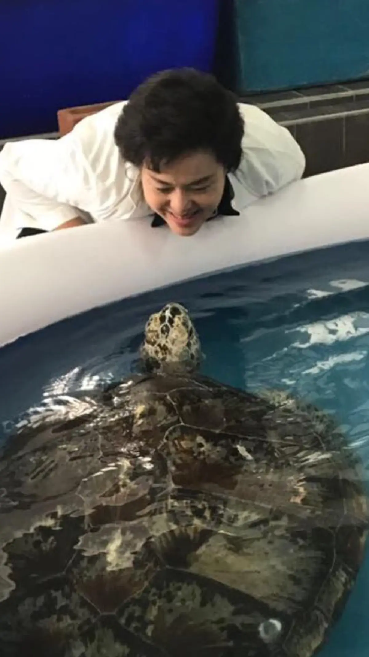 อีกไม่นานเกินรอ!!! "เต่าออมสิน" ว่ายน้ำออกกำลังรักษาแผลผ่าตัด แต่สิ่งที่เห็นทำเอาทีมสัตวแพทย์ยิ้มไม่หุบ (รายละเอียด)