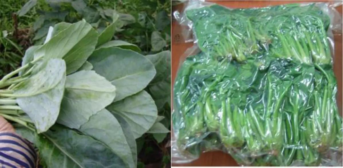 สุดยอดไอเดีย!!! เผยวิธีซีลถุงสูญญากาศด้วยภูมิปัญญาชาวบ้านแบบง่ายๆ ไม่ต้องเสียเงินซื้อเครื่อง ก็สามารถเก็บผักสดไว้กินได้นานๆ (คลิป)