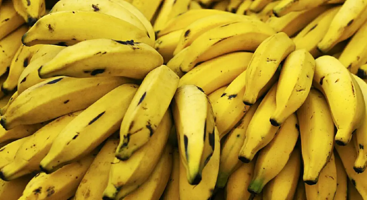 กล้วยๆ นี่แหละ!! รักษาและป้องกันโรคได้ถึง 8 โรคร้ายแบบไม่ต้องพึ่งยา เพียงรับประทานให้ถูกเวลา รับรองชีวิตเปลี่ยน