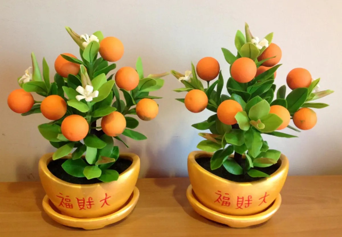 รู้อย่างนี้...ทำนานแล้ว!! เผยของ 9 สิ่ง ตกแต่งบ้านเสริมฮวงจุ้ย ที่หาได้ง่ายๆ ให้ชีวิตเฮง เฮง เฮง