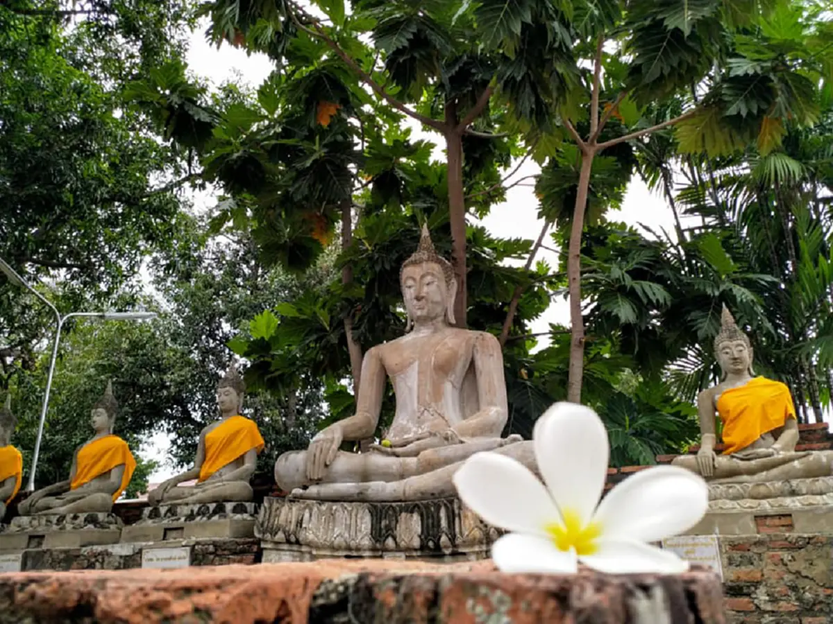 แห่แชร์ภาพถ่าย พระเอกวัดใหญ่ฯอยุธยา ชาวเน็ตเจอตัวจริงจังๆ ไม่นึกไม่ฝันท่านจะมาที่นี่ (ภาพชุด)