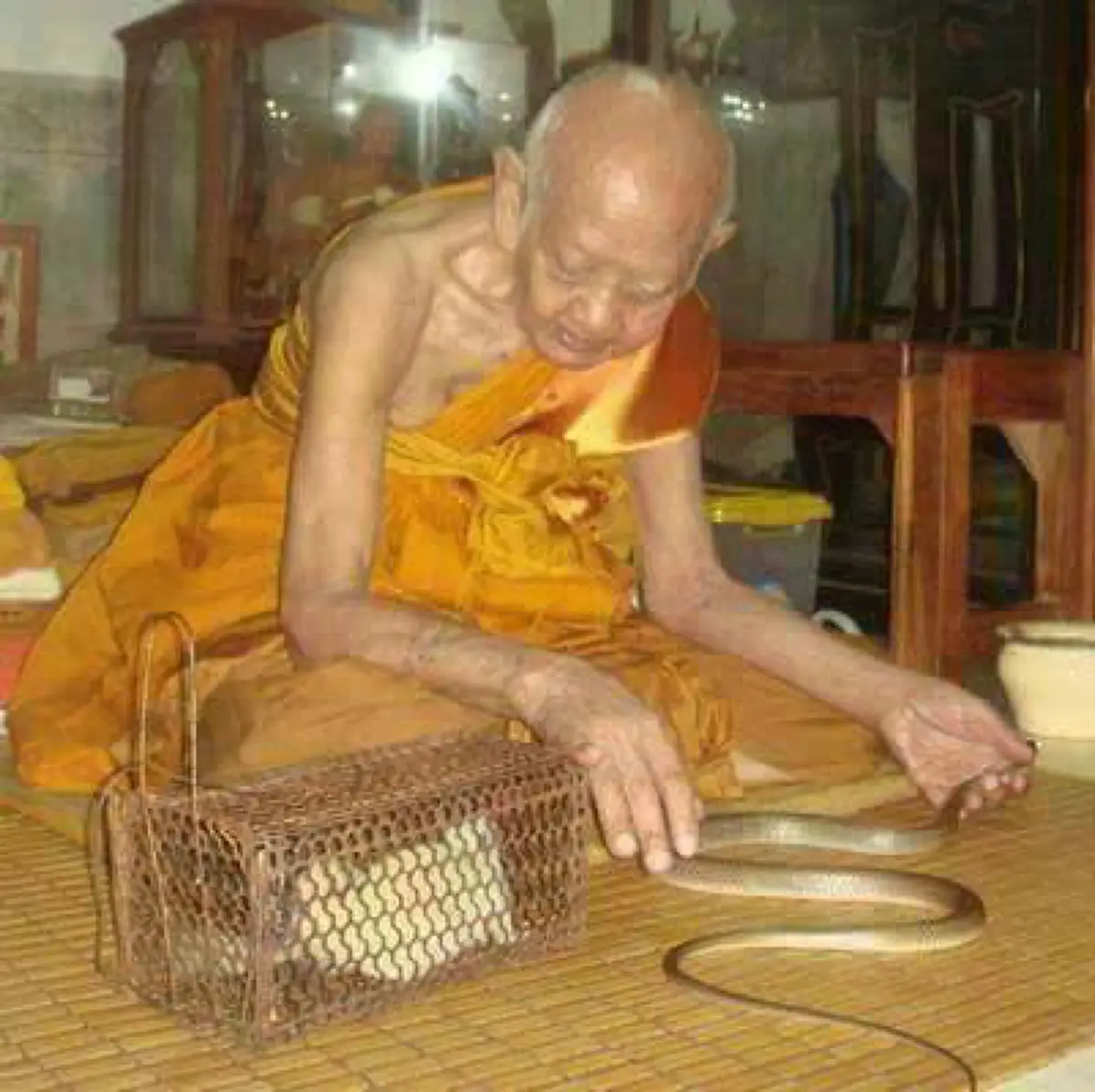 ใครกลัวงูต้องทำตาม?!  เปิดเคล็ดสยบอสรพิษ  "หลวงปู่หงษ์ พรหมปัญโญ"  ท่านแนะไว้  สวด “กากะ 3 รอบ” ผูกปากงูพ้นภัย