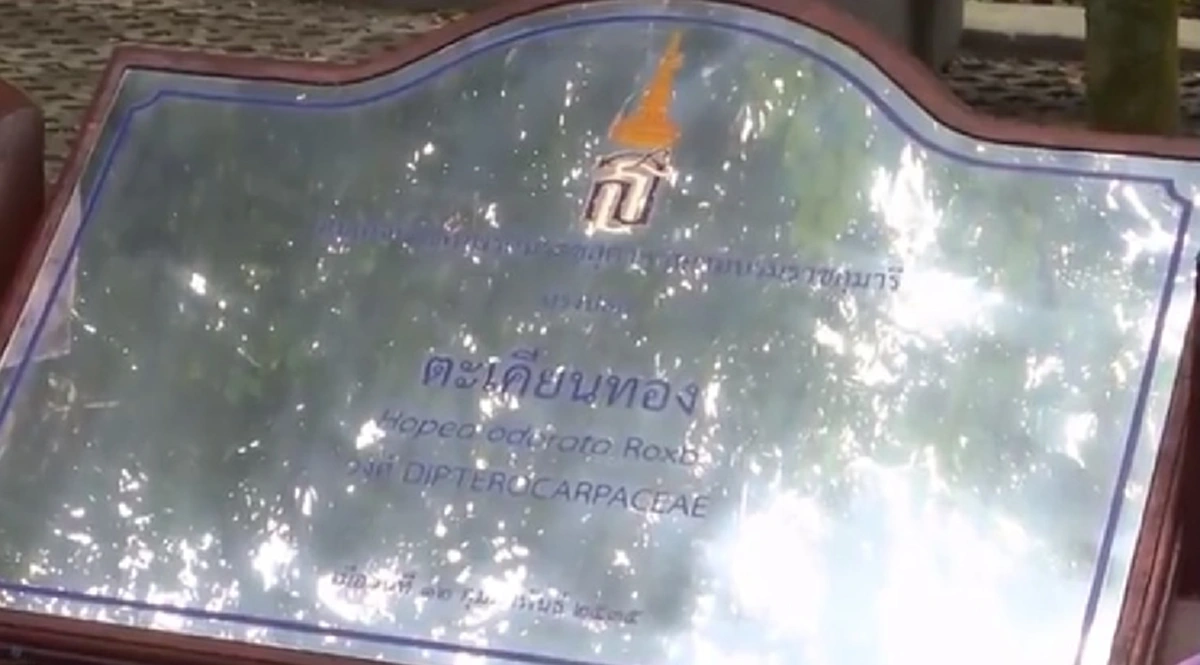 พระเทพฯทรงภาพวาดฝีพระหัตถ์งานศิลปะโลกมีกว่า120ปี มาจัดไทยครั้งแรก สถานที่ในหลวงร.9เสด็จทรงปลูกต้นไม้ไว้