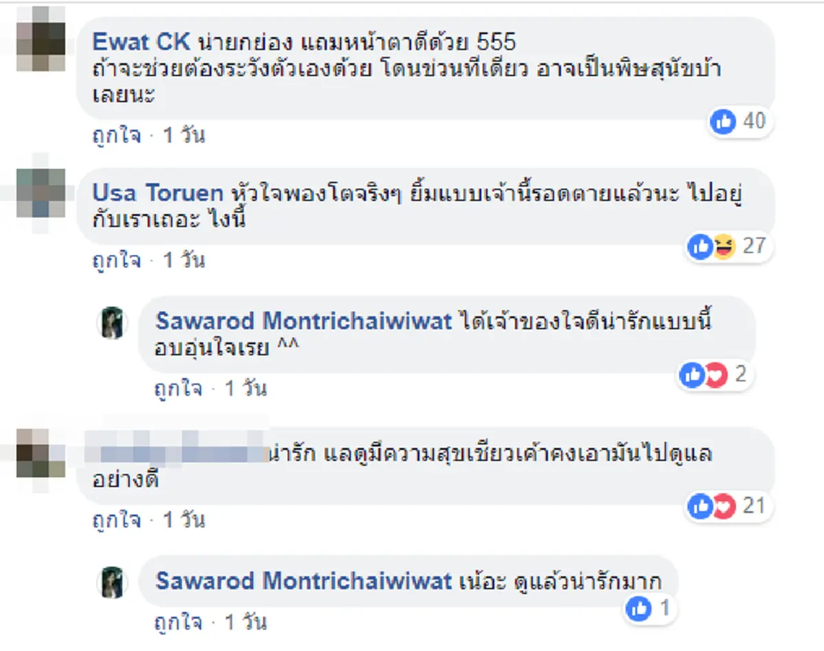 รอดตายแล้วนะ!!! สาวเสี่ยงชีวิตช่วยลูกแมวน้อยกลางถนน เพียงเสี้ยววินาทีประคองตัวเจ้าเหมียวให้รอดพ้นรถทับ โซเชียลชื่นชมรัวๆ..เธอสวยทั้งกายและใจ