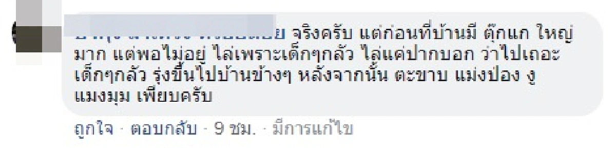 เลี้ยงไม่เสียข้าวสุก เผยคลิปตุ๊กแกเขมือบตะขาบไซส์บิ๊ก (คลิป)