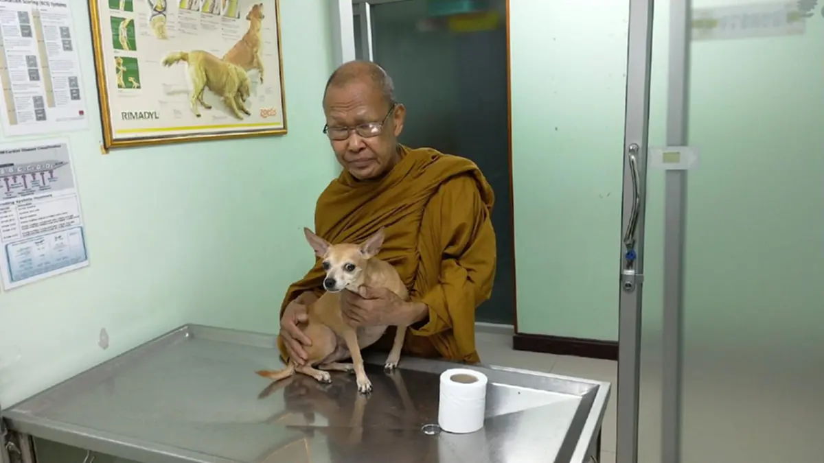 หลวงพ่อป่วยหนัก เจ็บแผลเท้าบวม ตัดพ้อเศร้า ยอมทรมานดีกว่าเอาเงินบริจาคของญาติโยมไปหาหมอ