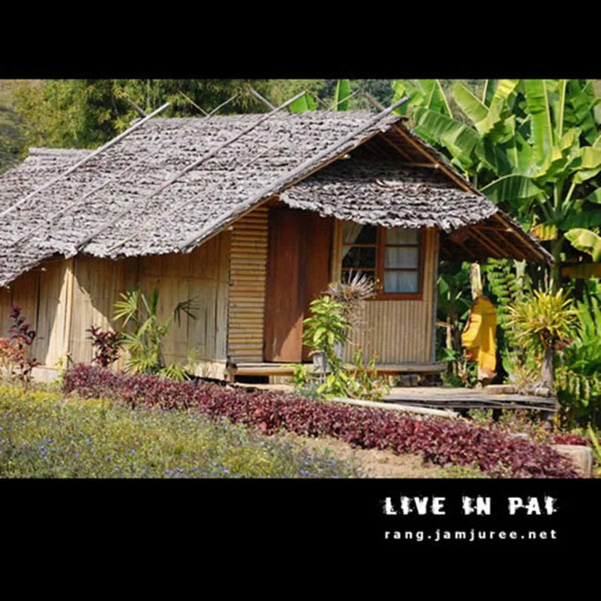 ไอเดียโคตรบรรเจิด!!สามคนพี่น้อง ช่วยกันสร้างกระท่อมไม้ไผ่ไว้อยู่เองหลังเล็กๆ แต่แข็งแรง อยู่ได้ถาวร..พอได้เห็นข้างในแทบตาค้าง มันสุดยอดจริงๆ