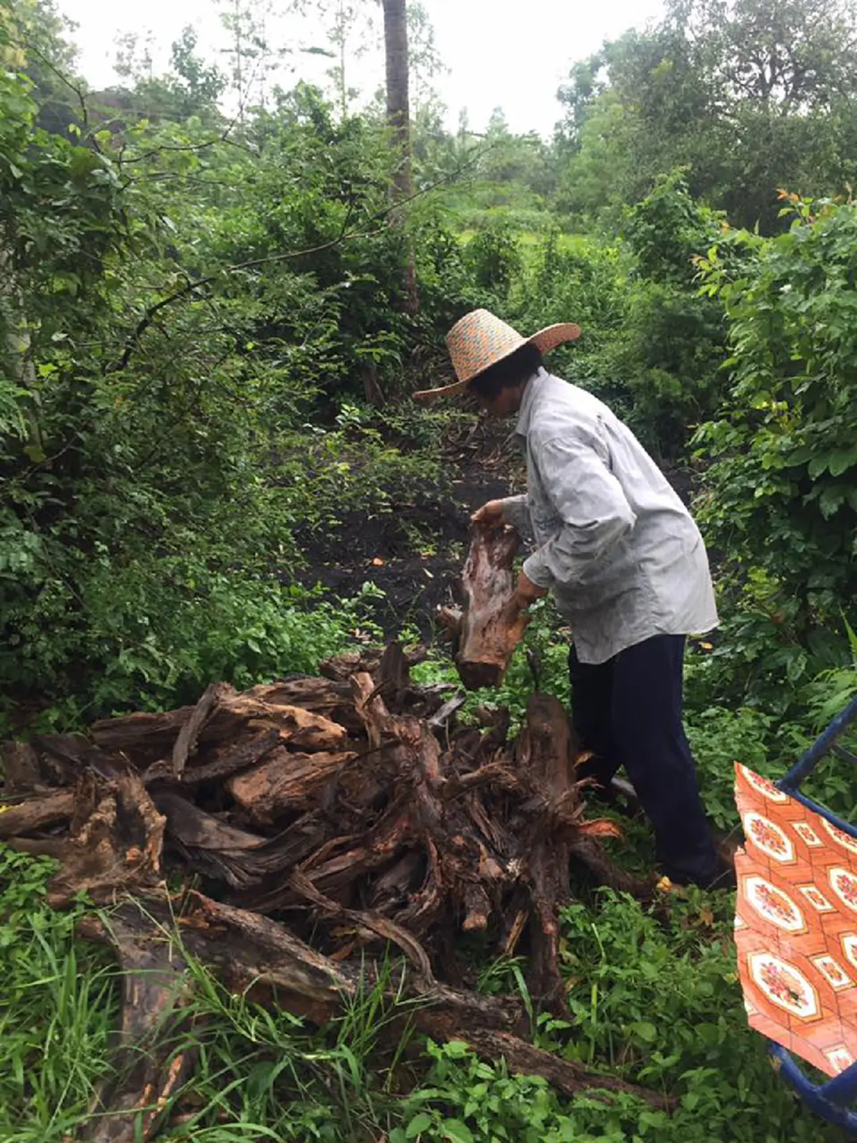 สะเทือนใจ!! ลูกชายพิการแม่ชรายากจน อาศัยกระท่อมบังแดดฝนต้องเดินไปขอข้าววัดให้ลูกชาย หลายครั้งกอดคอกันอด สุดรันทดเป็นลมหน้ามืดข้างหลุมถ่าน!!