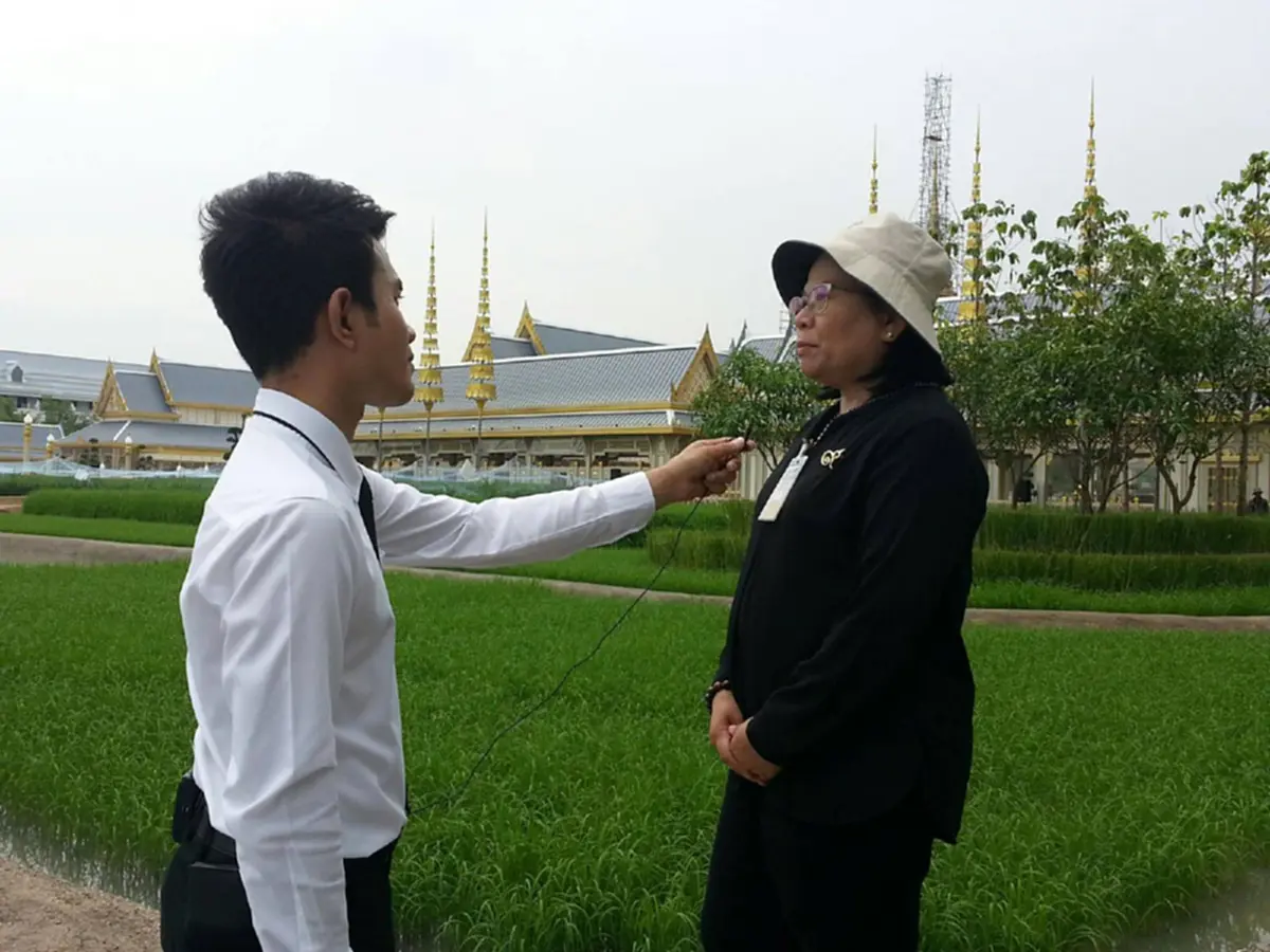 ทีนิวส์ลงพื้นที่แปลงนาเลข ๙ กลางท้องสนามหลวง ถือเป็นภูมิสถาปัตยกรรมประกอบพระเมรุมาศ ที่สะท้อนพระอัจฉริยภาพด้านการเกษตรในหลวงรัชกาลที่ ๙