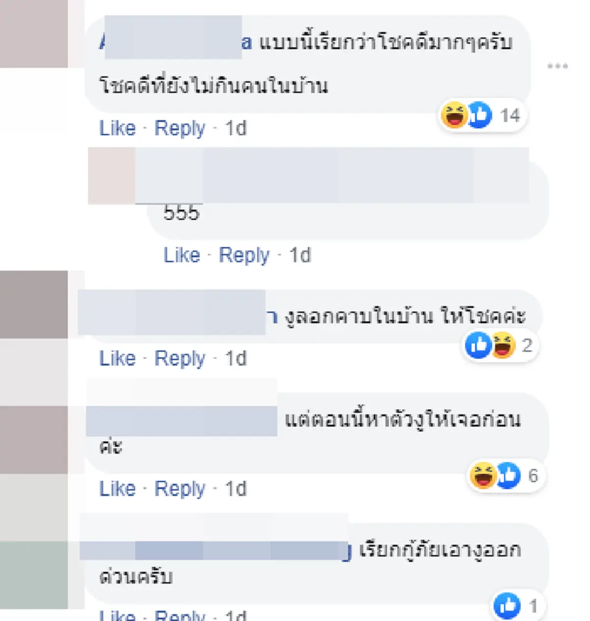 แห่ส่องบ้านเลขที่ เจอคราบงูเหลือโผล่ในบ้าน