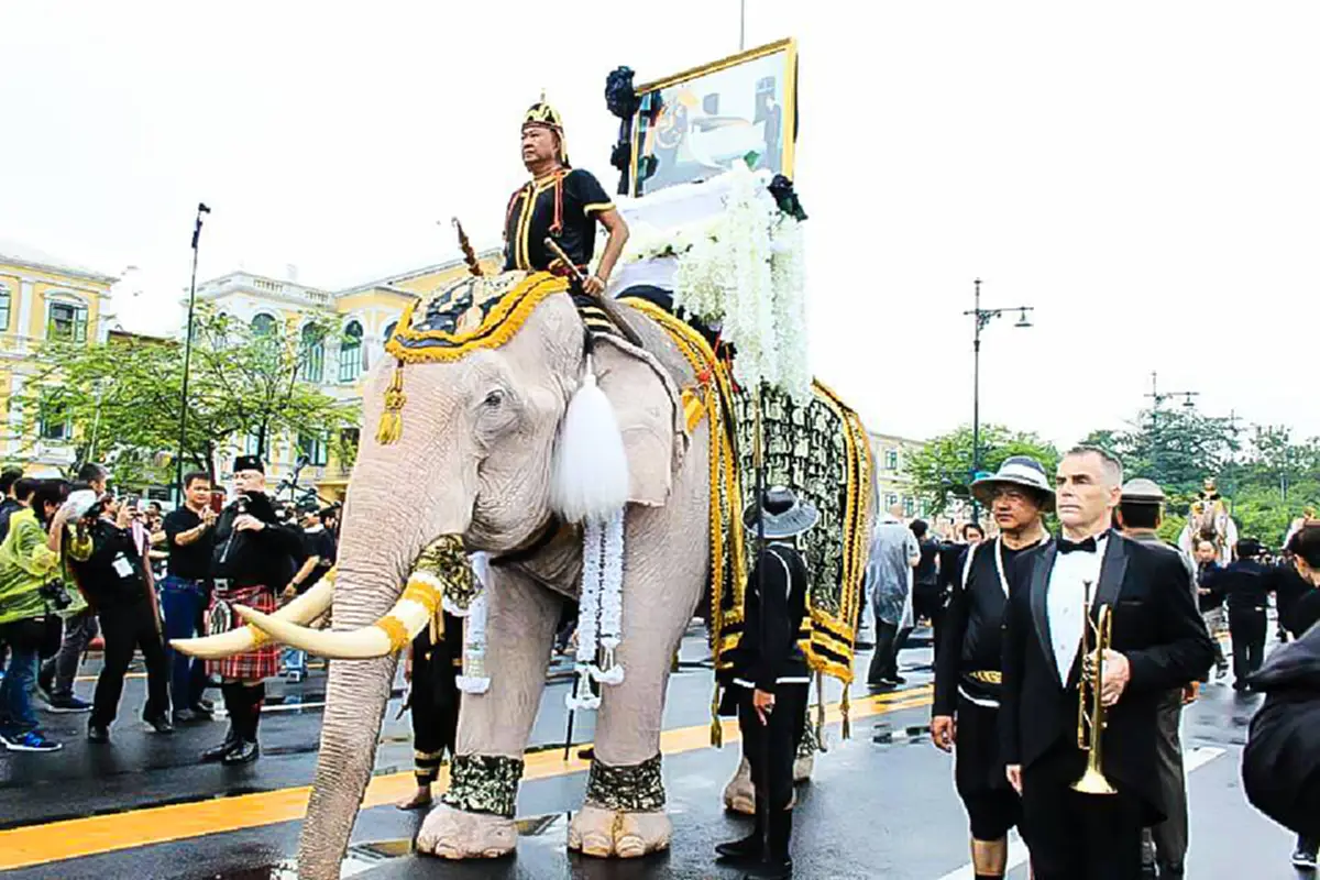 ยังจำได้ติดตาไม่มีวันลืม...เนื่องในวันช้างไทย ประมวลภาพขบวนช้างมงคล 11 เชือก ทำพิธีถวายบังคมพระบรมศพ "ช้างเผือกของในหลวงรัชกาลที่9"(ภาพชุด)