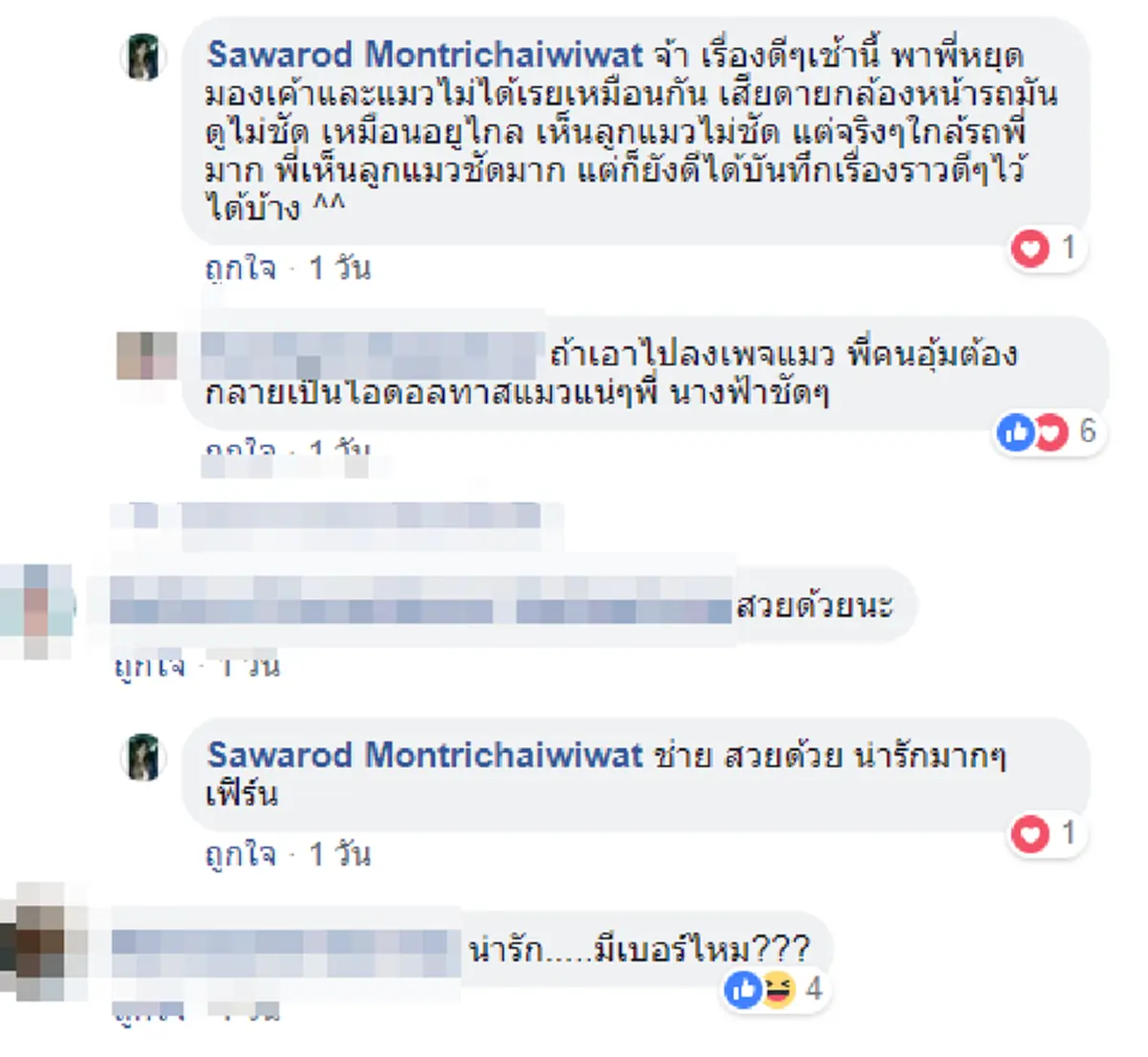 รอดตายแล้วนะ!!! สาวเสี่ยงชีวิตช่วยลูกแมวน้อยกลางถนน เพียงเสี้ยววินาทีประคองตัวเจ้าเหมียวให้รอดพ้นรถทับ โซเชียลชื่นชมรัวๆ..เธอสวยทั้งกายและใจ
