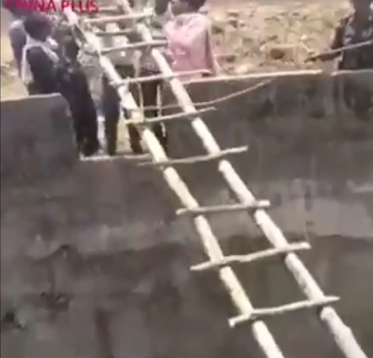 หมดสภาพนักล่า!! "เสือโคร่งอินเดีย" พลัดตกบ่อน้ำลึก ชาวบ้านสงสารแอบส่งบันไดช่วย พอขึ้นมาได้ ส่งสายตาขอบคุณเขินๆ ก่อนเผ่นแน่บหาย (คลิป)