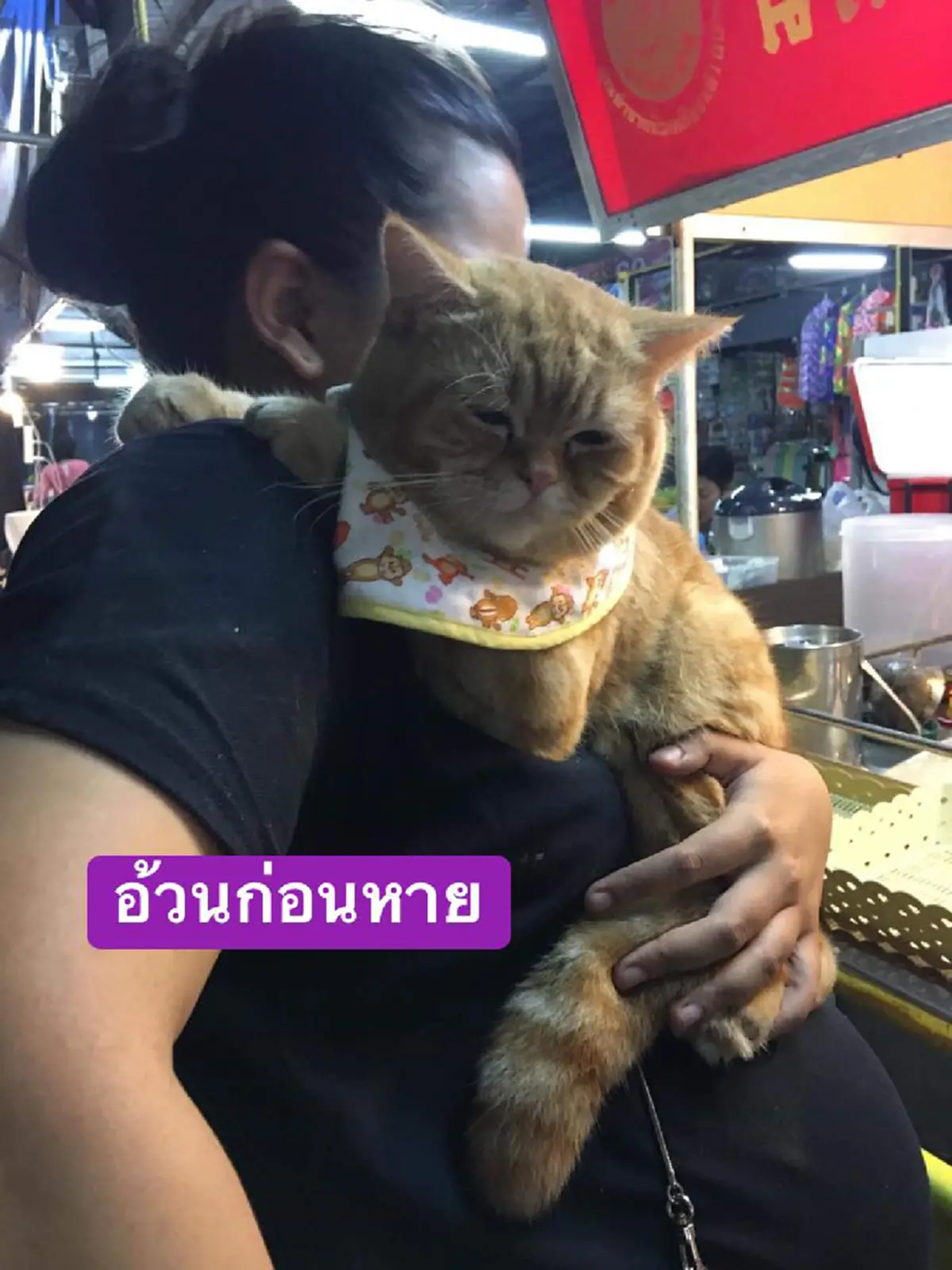 สาวออกตามหาแมวที่หายไปนานถึง 1 ปี 2 เดือน จนได้พบกันอีกครั้งกับความเปลี่ยนแปลง