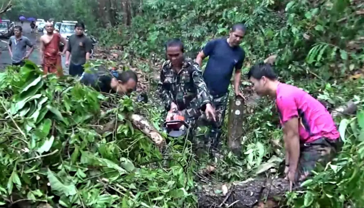 พายุถล่มเขาใหญ่ต้นไม้ใหญ่หักขวางถนนรถติดยาว