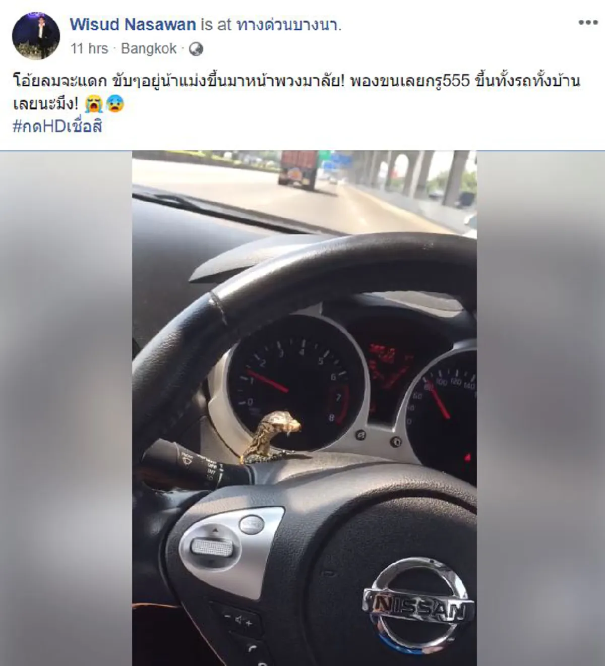 น่ารักเชียว ขับรถอยู่ดีๆ เจอตัวประหลาดโผล่มาทักทาย "หนุ่มโชเฟอร์"ลมเเทบจับ ร้องลั่น (คลิป)