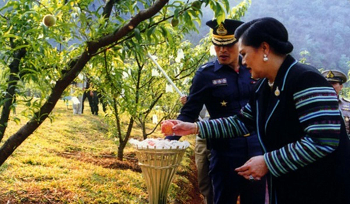 สายใยรักจากลูกถึงแม่!!! เผยกลอนพระราชนิพนธ์ ของ สมเด็จพระเจ้าอยู่หัว รัชกาลที่ ๑๐ ถึงสมเด็จแม่