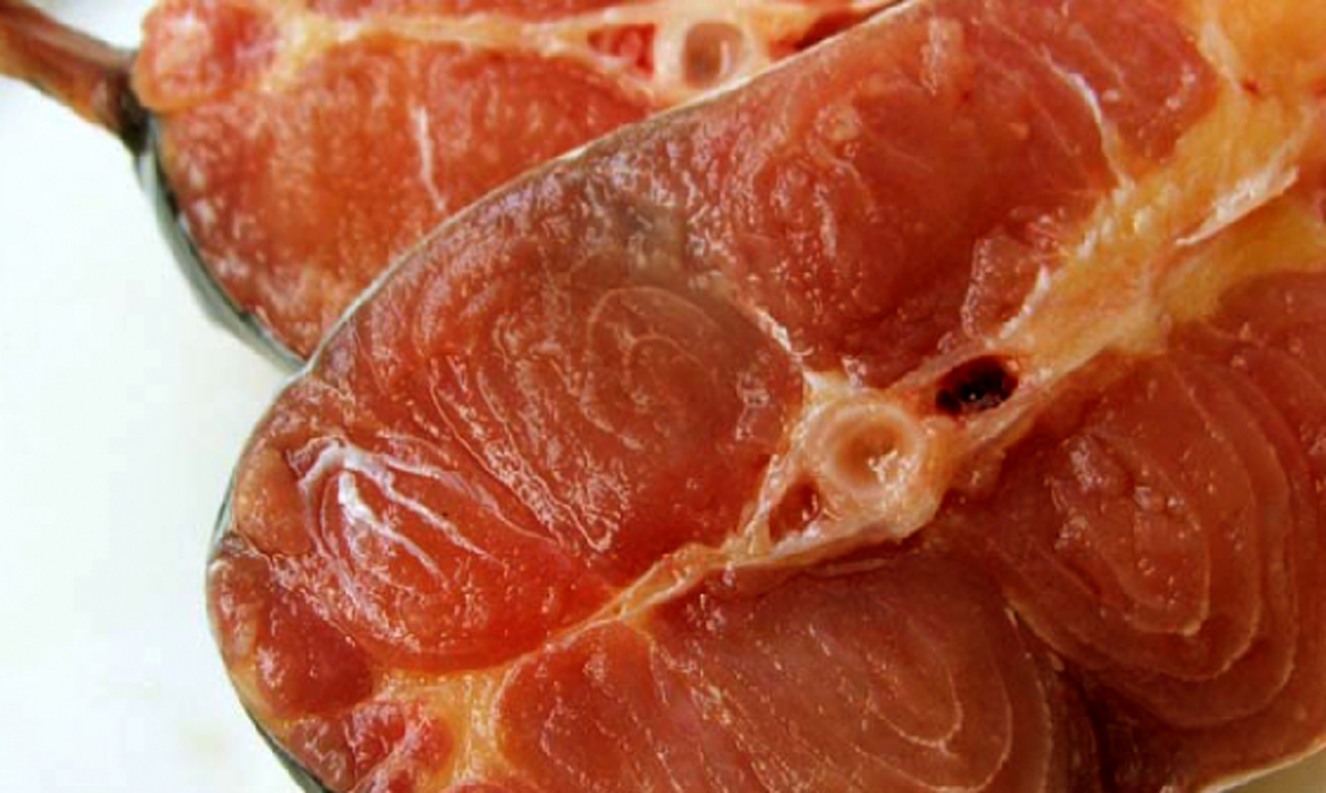 ชื่อใหม่ไฉไลกว่าเดิม!! ประมงเตรียมเปลี่ยนชื่อปลาสวายเพิ่มมูลค่าการตลาดหลังคนไทยไม่นิยม