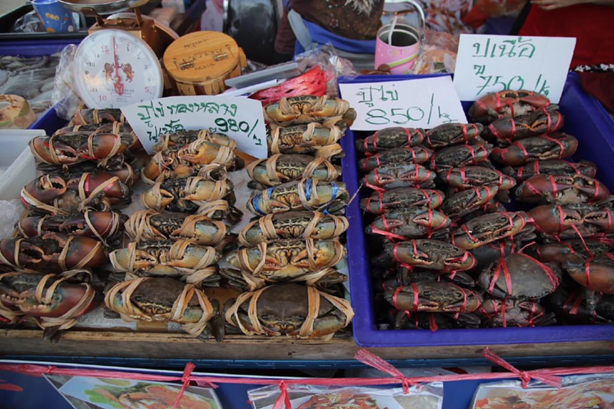 “เทศกาล “กินปู ดูทะเล Presented by  มิตรผล” แซ่บ !! ต้องลอง เมนูปูร้านดังจากทั่วกรุง ซี๊ด !! กับเมนูซีฟู้ด ยกทัพรวมกว่า 100 ร้านค้าทั่วไทย
