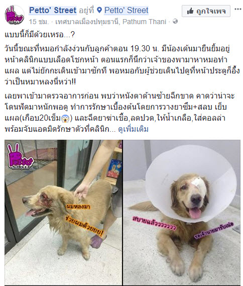 My Image 36