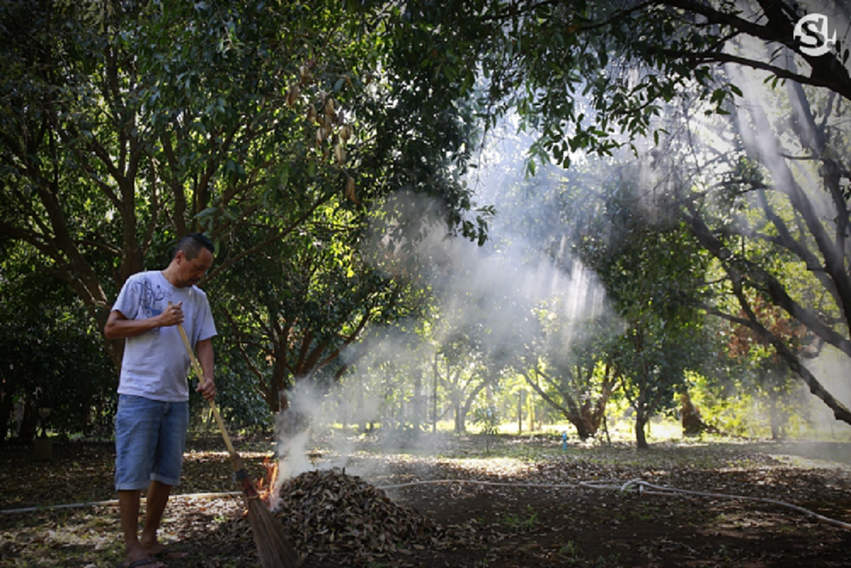 #อยู่แบบพอเพียง!! ส่องกันชัดๆ บ้าน 4 ไร่ของ ‘เท่ง เถิดเทิง’ ตลกติดดิน ถึงกับขยี้ตารัวๆ ท่ามกลางธรรมชาติ เอาอะไรมาแลกก็ไม่ยอม !! (มีคลิป)