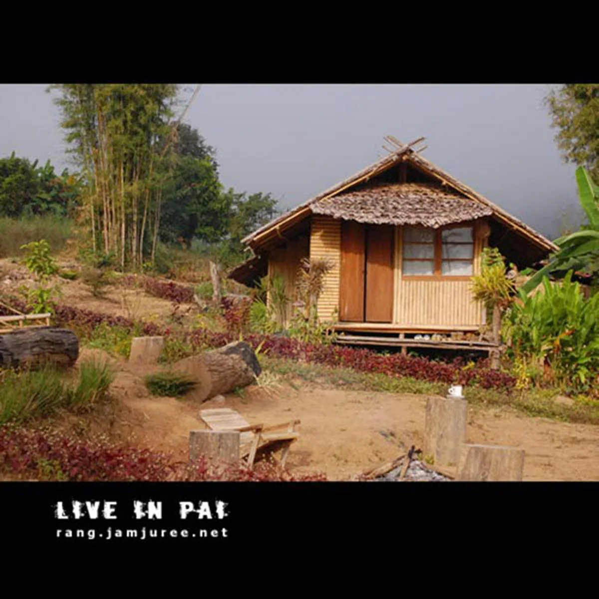 ไอเดียโคตรบรรเจิด!!สามคนพี่น้อง ช่วยกันสร้างกระท่อมไม้ไผ่ไว้อยู่เองหลังเล็กๆ แต่แข็งแรง อยู่ได้ถาวร..พอได้เห็นข้างในแทบตาค้าง มันสุดยอดจริงๆ