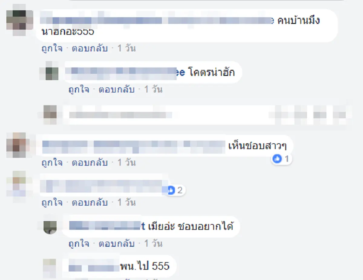 ความเห็นชาวเน็ต