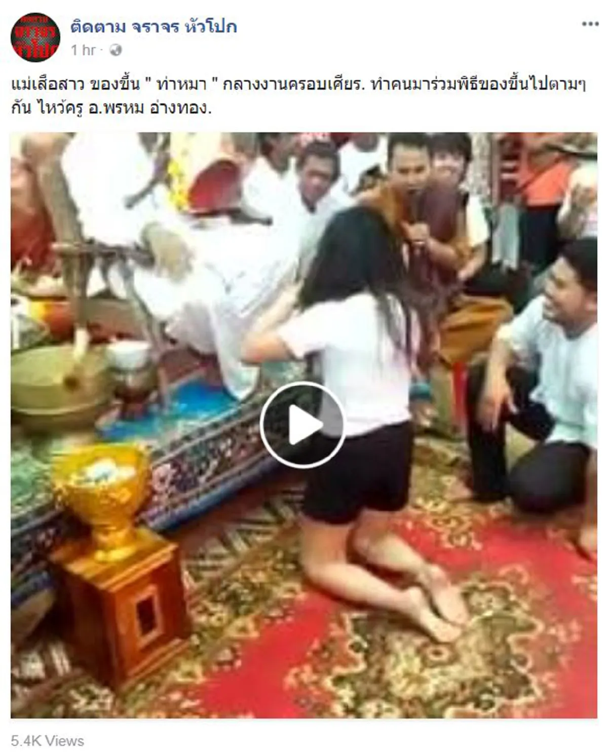 วิจารณ์สนั่นโซเชี่ยล!! "เเม่เสือสาว" ของขึ้น กลางงานครอบเศียร...ทำผู้คนทั้งพิธี ของขึ้นตาม??!! ดิ้นพล่าน ขย้ำพื้น!! (ไปดูคลิป)
