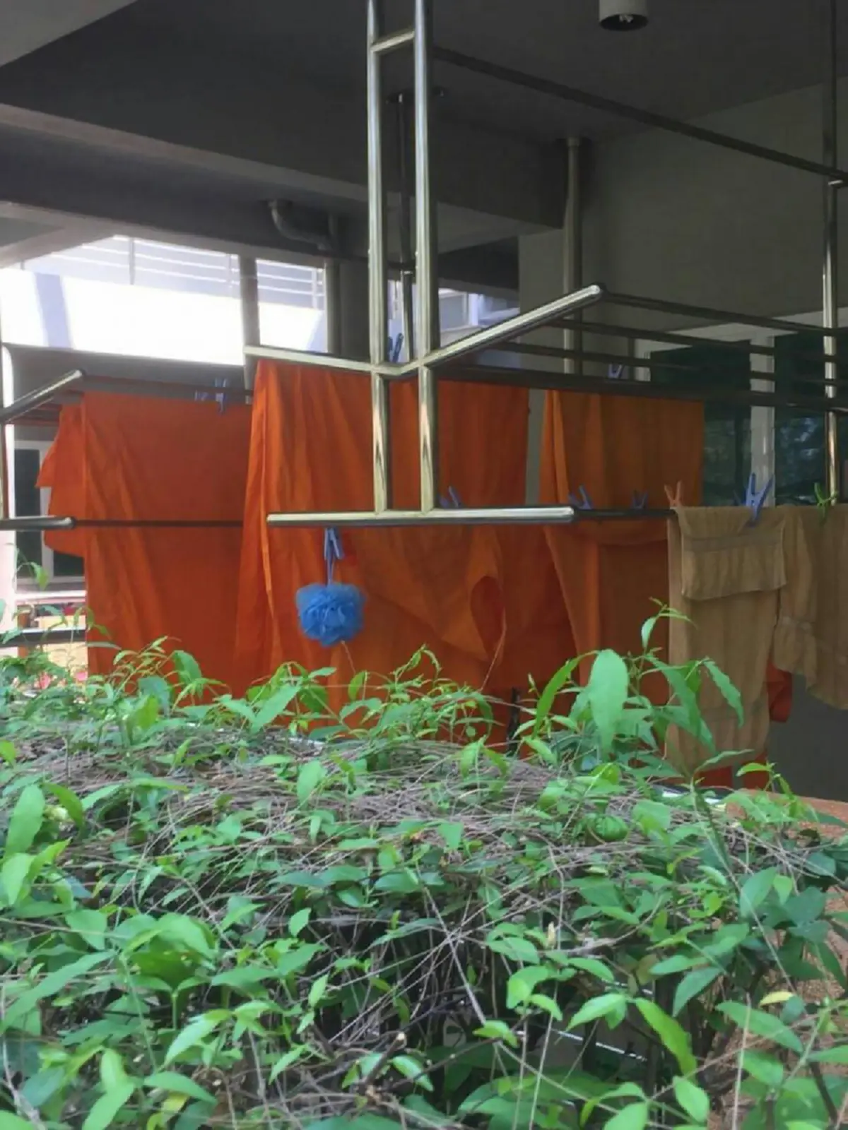 พุทโธ นี่หรือวัด!?!?  เปิดภาพ "คอนโดพระวัดธรรมกาย" ...ฟิตเนส ซาวน่า สระว่ายน้ำ ครบ (มีภาพ)