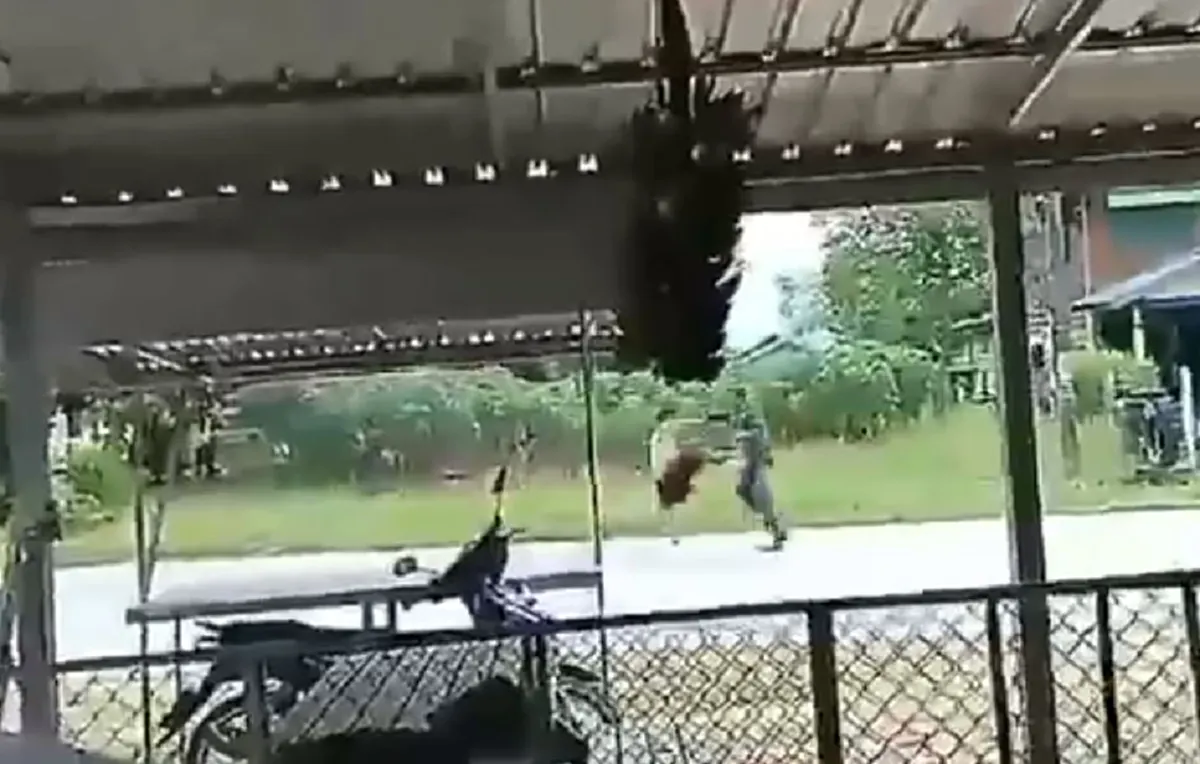 คุณคิดเห็นอย่างไร? เปิดใจพ่อหนุ่มคลั่ง พร้อมเผยภาพสุดท้ายในห้องขัง สภาพลูกแทบรับไม่ได้ ถามกลับตร.ลูกผมหยุดแล้ว ตีซ้ำทำไม(คลิป)