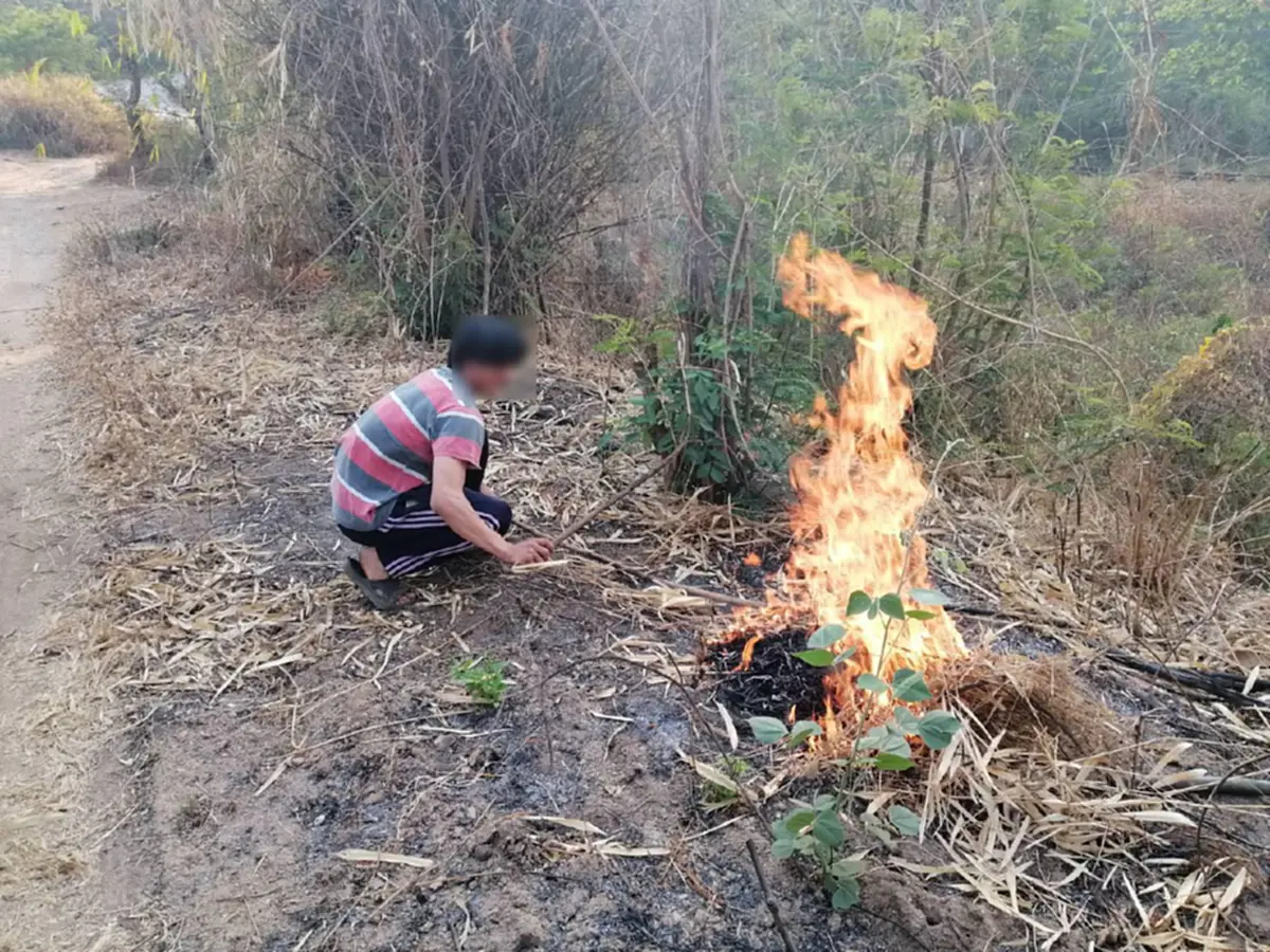 รวบตัว หนุ่มเชียงใหม่ จุดไฟเผาหญ้า