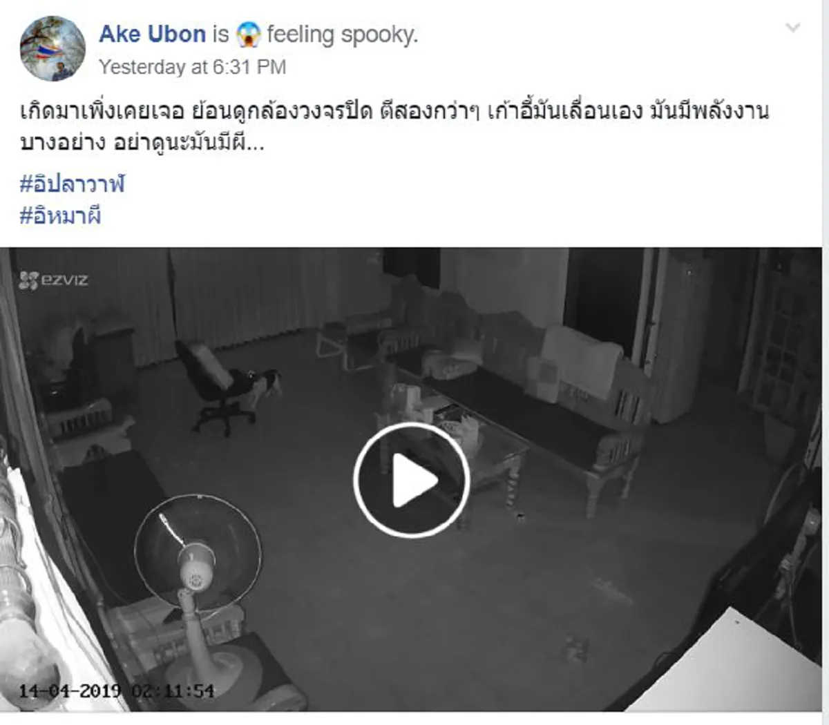 หมาน้อยซึมเพราะ กลางคืนไม่ได้นอน