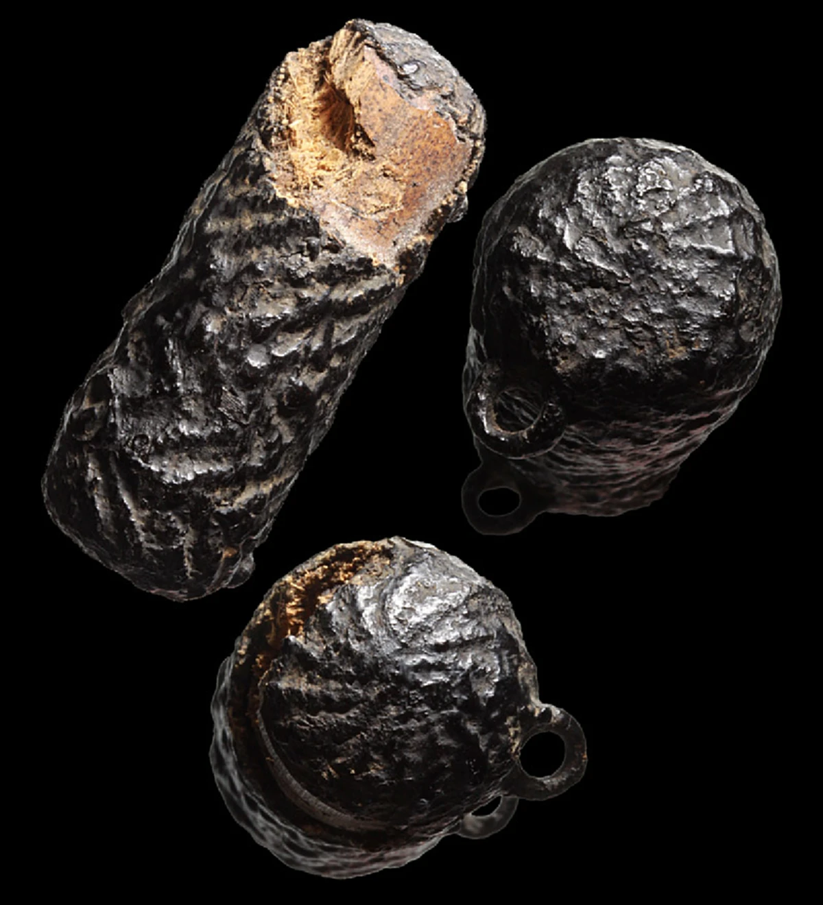 เข้าจู่โจมอย่างรวดเร็วหมายรัดให้ตาย "งูยักษ์"จะได้กินอย่างสมใจ แต่ "หลวงปู่ภู วัดอินทรวิหาร"ศิษย์เอกสมเด็จโต เพียงแค่แผ่เมตตา จนพ่ายจากไป.