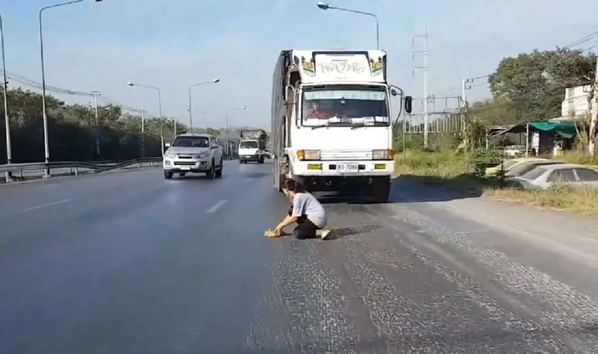 \"สิบล้อ\"หยุดให้ \"สาว\"น้ำใจงาม วิ่งไปช่วย\"ลูกเเมวตัวน้อย\"กลางถนนมิตรภาพ (คลิป)