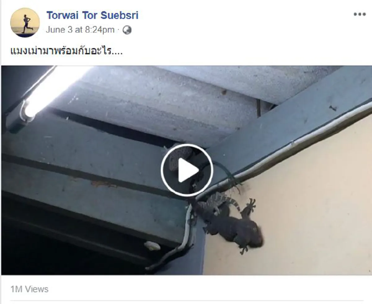 \"พี่มืด\"นำทีม!! เเห่ดูกันเป็นล้านวิว..ตัวช่วยกำจัด\"เเมลงเม่า\"ขจัดปัญหาบินรบกวนในที่อยู่อาศัย..ยกเเก๊งมาเอง!! ไม่ต้องเรียก?? (ชมคลิป)