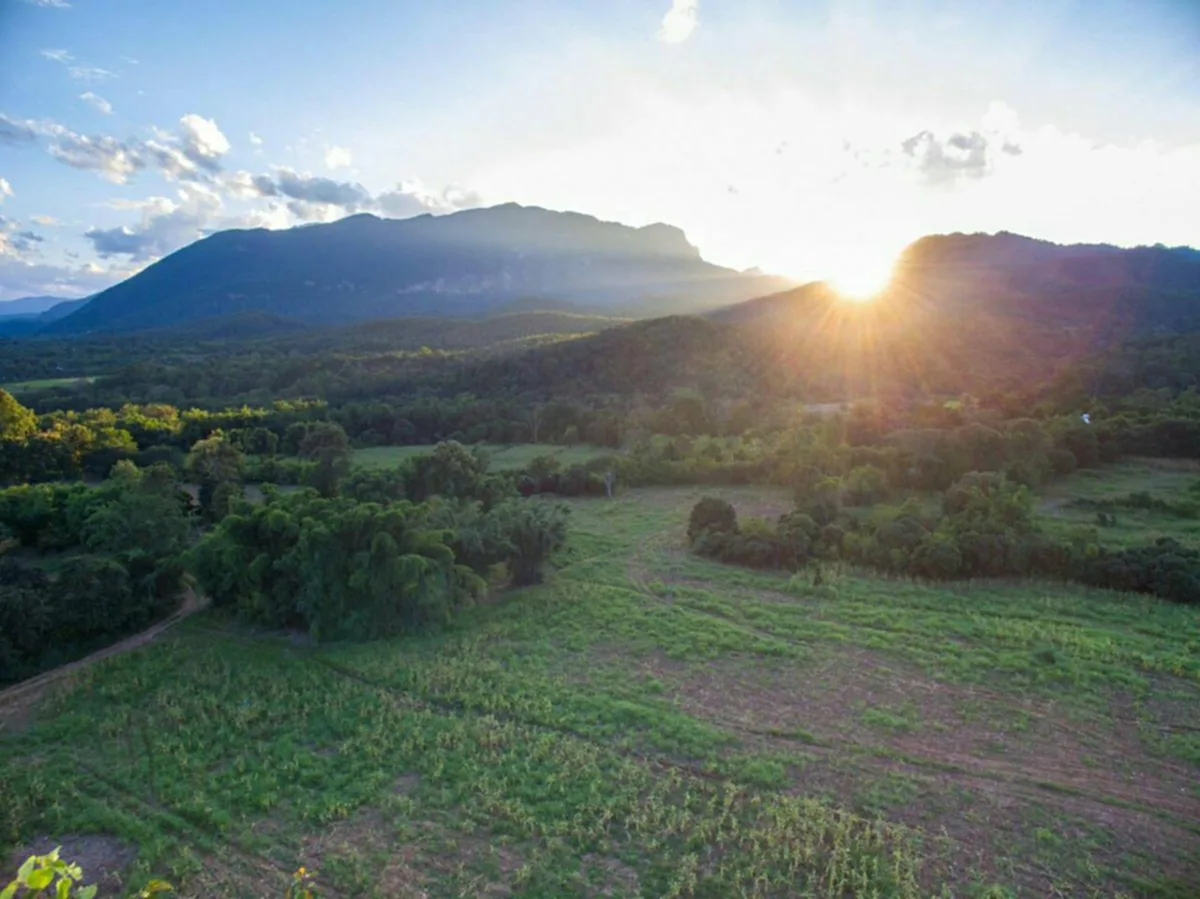 ประกาศเตือนด่วน !! ไทยเจอความกดอากาศสูงกำลังแรงอีกระลอก ในหลายพื้นที่.. อากาศหนาวกับมีลมแรง อุณหภูมิลดฮวบ 2-4 องศา ปชช.ควรติดตามประกาศเตือนอ