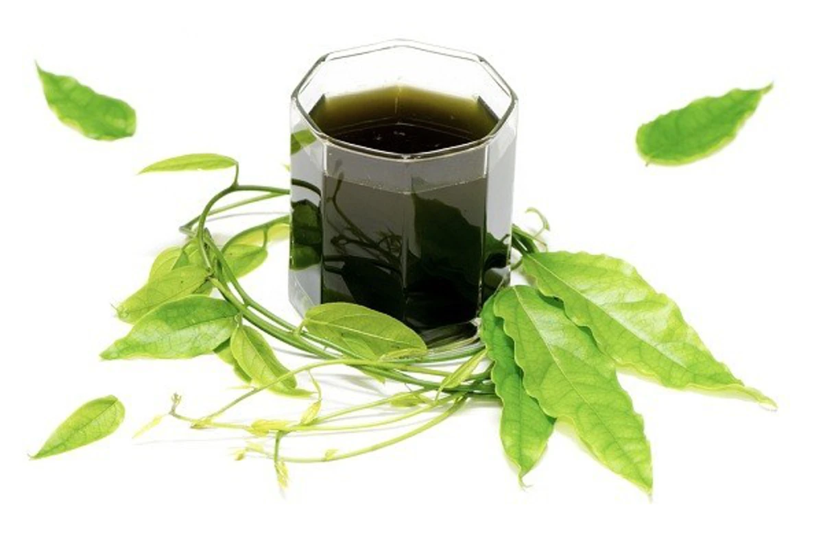 น้ำใบย่านาง