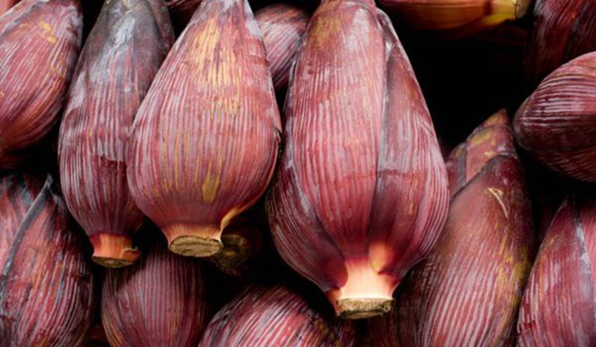 ไม่อยากปวดท้องต้องดู!!! 7 พืชผักพื้นบ้านสมุนไพร มีฤทธิ์ช่วยบรรเทาโรคกระเพาะ ของดีที่อยู่ใกล้ตัวคุณ รู้แล้วรีบแชร์ด่วน