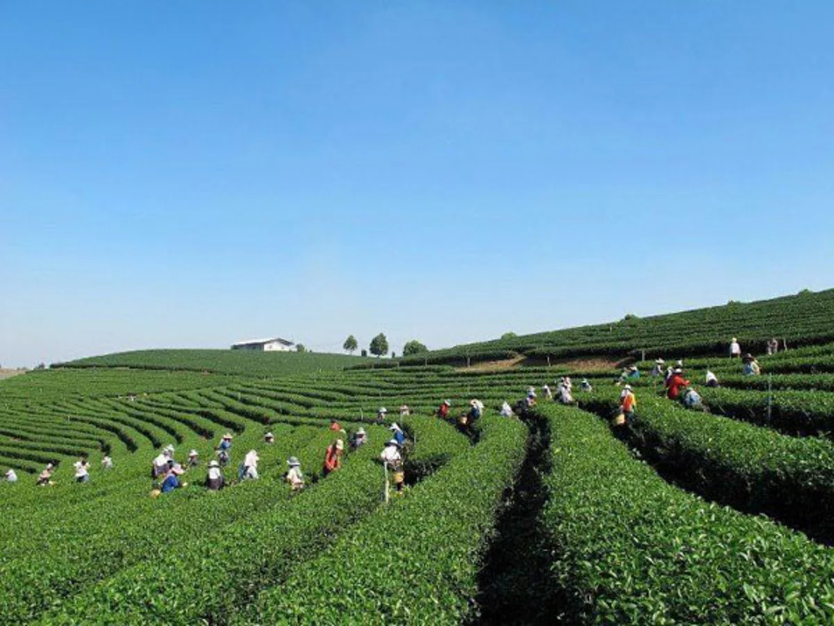 15 อันดับ จังหวัดที่เจริญที่สุดในประเทศไทย