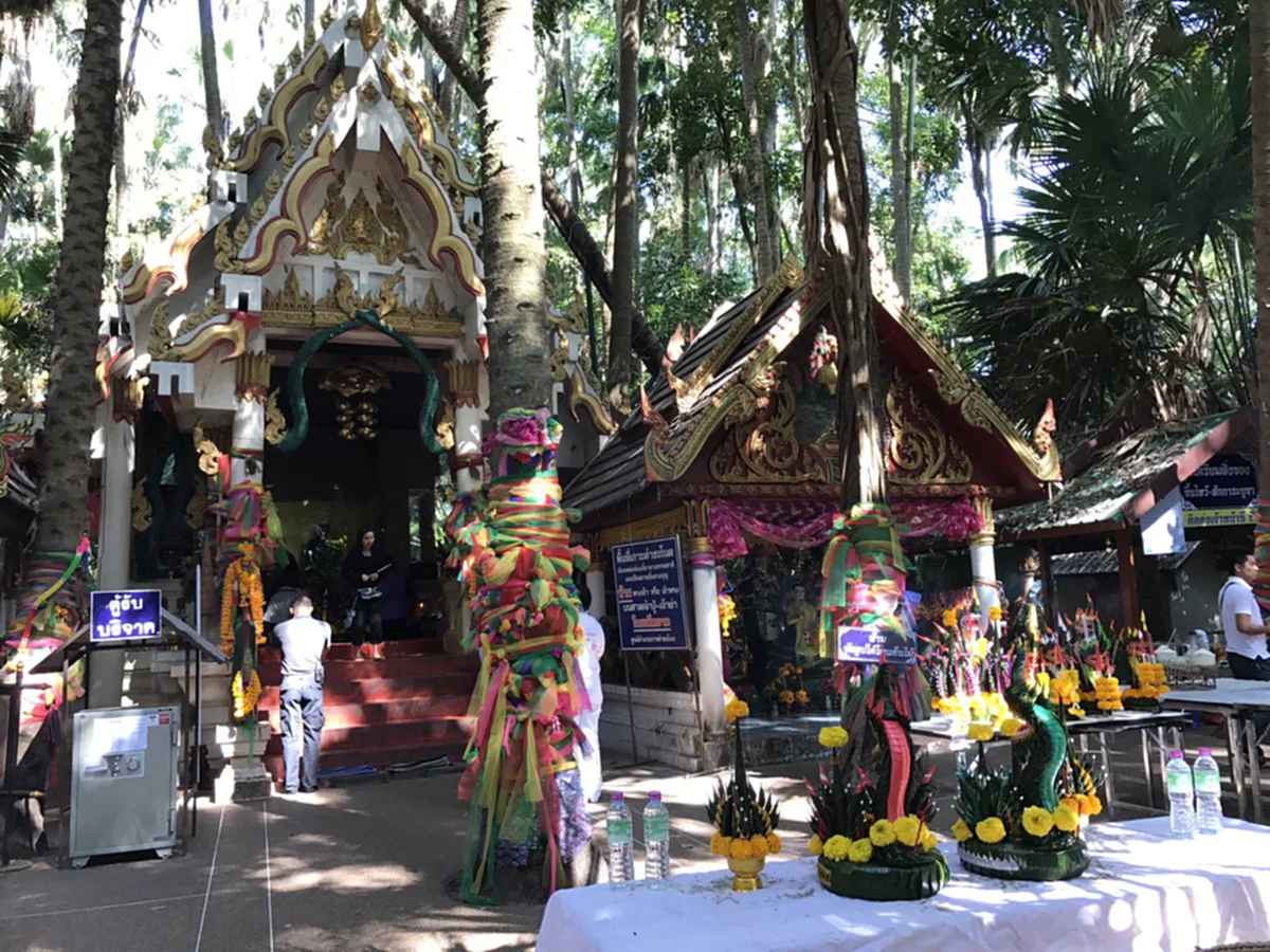 นาคน้อย ร่ายรำถวาย พ่อปู่ศรีสุทโธ - แม่ย่าศรีปทุมมา ชูไม้ชูมือเป็นเลข