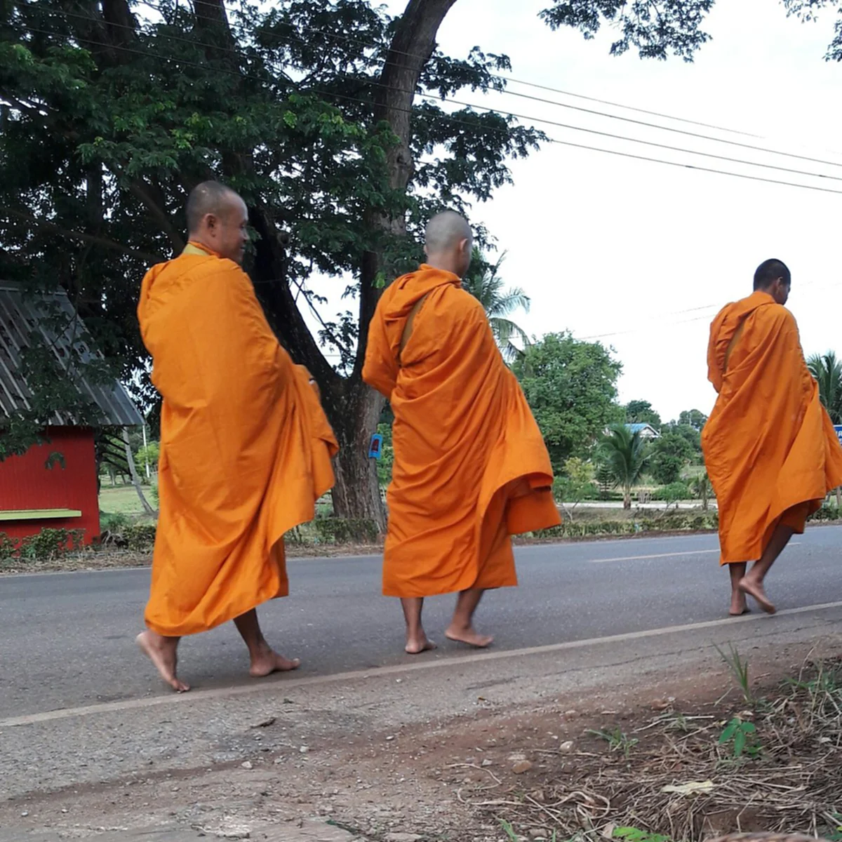 #รีบเช็คกันดู!! 6 อาหาร “ห้ามใส่บาตร” ที่คุณไม่เคยรู้มาก่อน ว่าถ้าใส่ไป บาปโดยไม่รู้ตัว !!