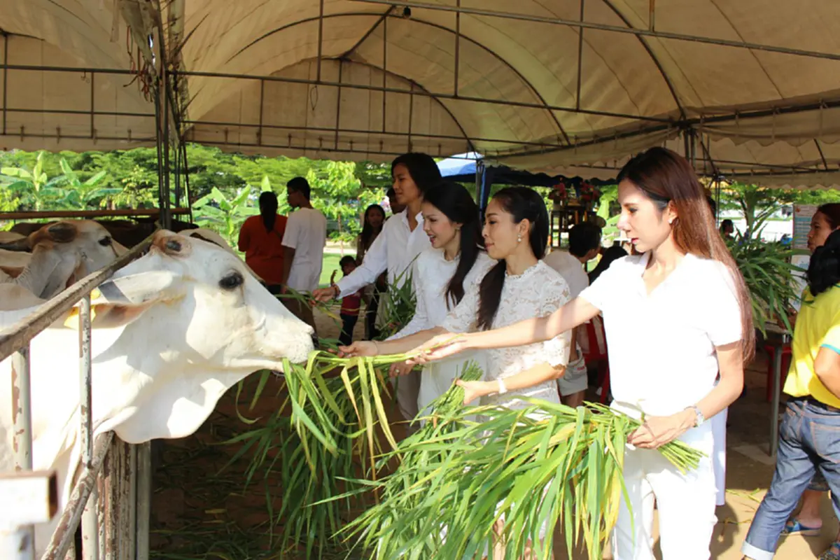 ขอเชิญชวนพุทธศาสนิกชนทำความดี! ก๊วนวัยทีนพปชร. ร่วมทำบุญตักบาตรวันวิสาขบูชา