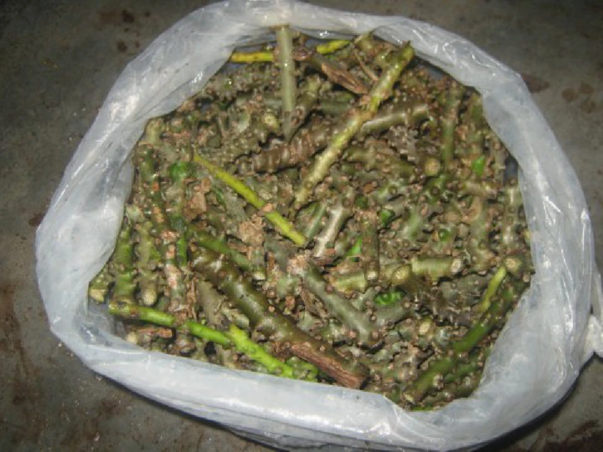 รู้อย่างนี้...ทำนานแล้ว!! เผยเคล็ดลับ "ไล่หนู" ให้พ้นบ้าน โดยไม่ต้องฆ่าให้บาป รับรองได้ผล อย่างไม่คาดคิด อ่านแล้วแชร์บอกต่อ!?!