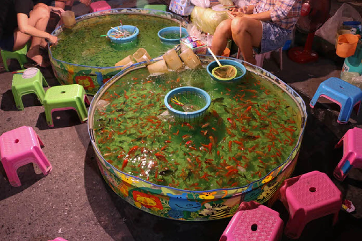 โคตรเทพเลยพี่!! ชาวเน็ตยกยอ "กระบี่มือหนึ่ง" วิธีตักปลางานวัดขั้นเทพ..บอกได้คำเดียวแม่ค้าสตั้นหนัก!!  ครั้งเดียวโคตรคุ้ม?? (ชมคลิป)