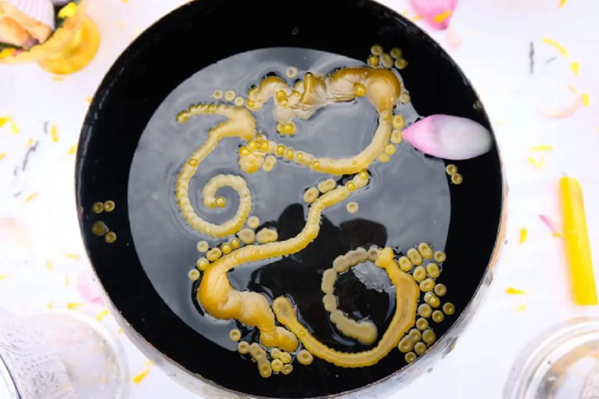 โผล่มาให้เห็น 3 ตัวเน้นๆ เลขขันน้ำมนต์คำชะโนดจากพิธีศักดิ์สิทธิ์