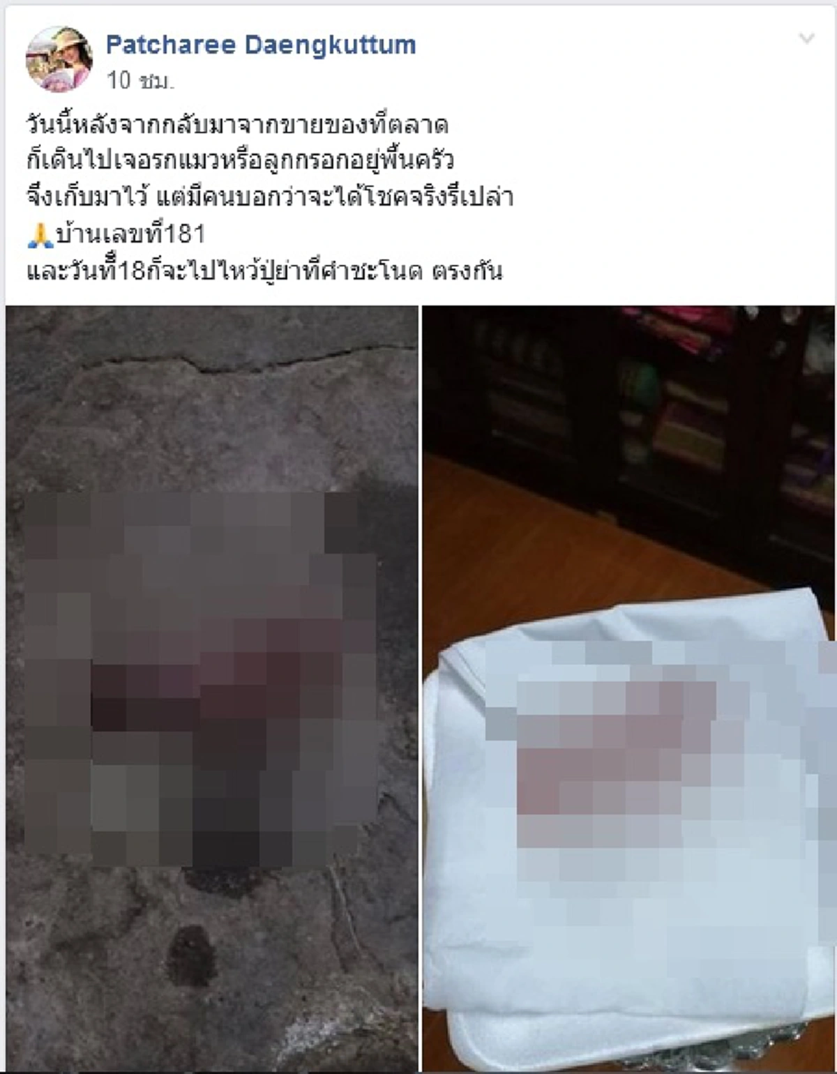 สาวโพสต์โชคใหญ่ เจอรกแมวอยู่ในครัวโดยบังเอิญ ก่อนเดินทางไปไหว้ปู่ย่าที่คำชะโนด