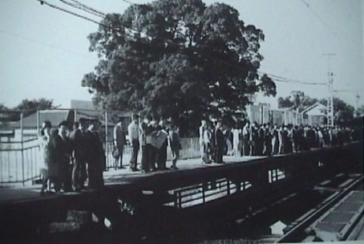 ไม่มีใครเหมือนและไม่เหมือนใคร!! สถานนีรถไฟญี่ปุ่น เจาะรูกลางสถานนี เพื่อรักษาต้นไม้ที่เคยให้ร่มเงากับคน ซึ่งมีอายุกว่า 700 ปี มาแล้ว (คลิป)
