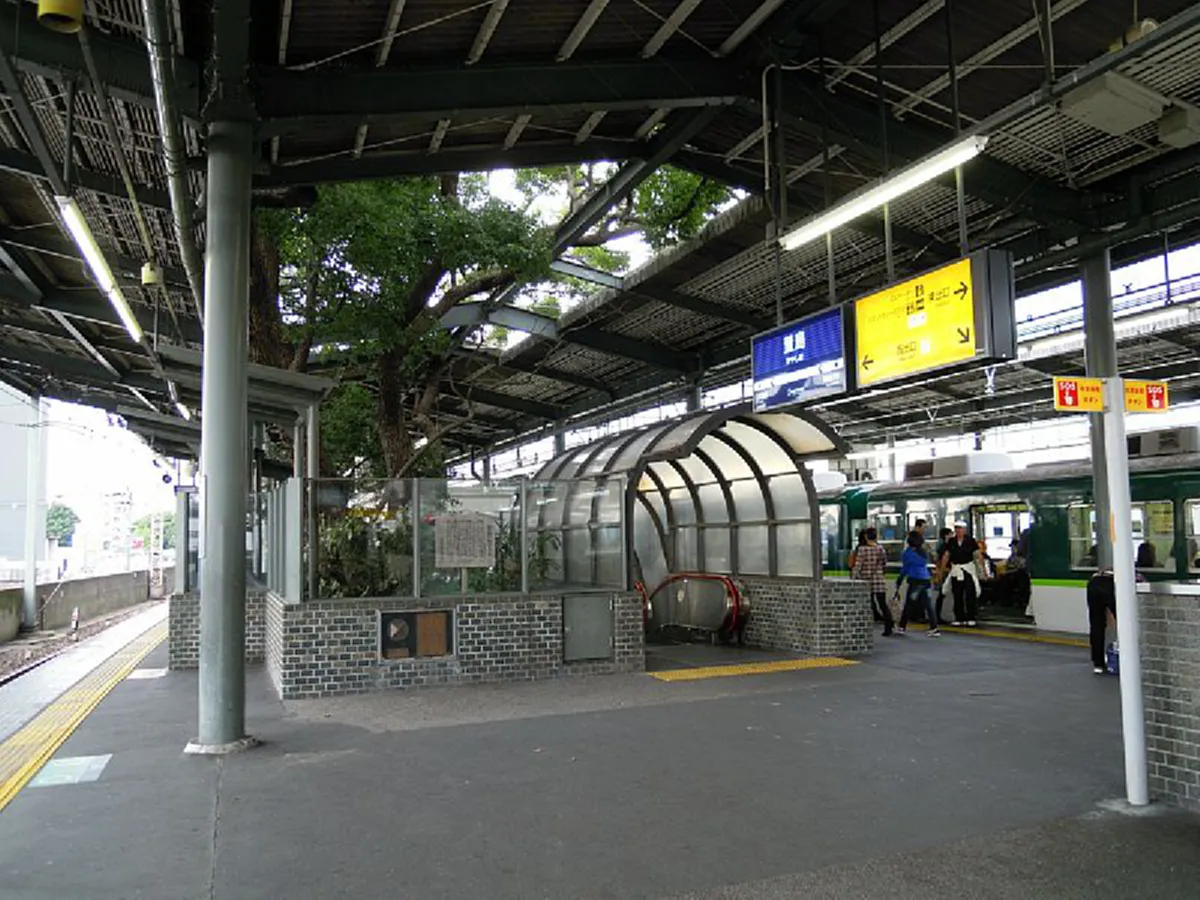 ไม่มีใครเหมือนและไม่เหมือนใคร!! สถานนีรถไฟญี่ปุ่น เจาะรูกลางสถานนี เพื่อรักษาต้นไม้ที่เคยให้ร่มเงากับคน ซึ่งมีอายุกว่า 700 ปี มาแล้ว (คลิป)